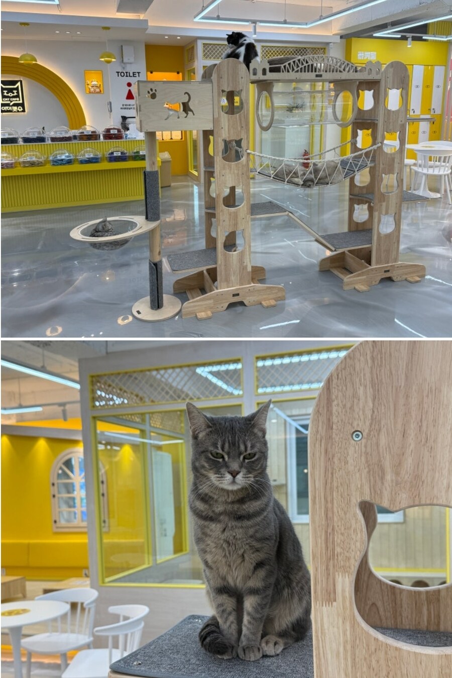 1만 8천원 만화 카페 혜자다 vs 창렬이다_9.jpg