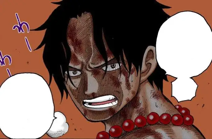 원피스) 트롤의 정석_5.webp