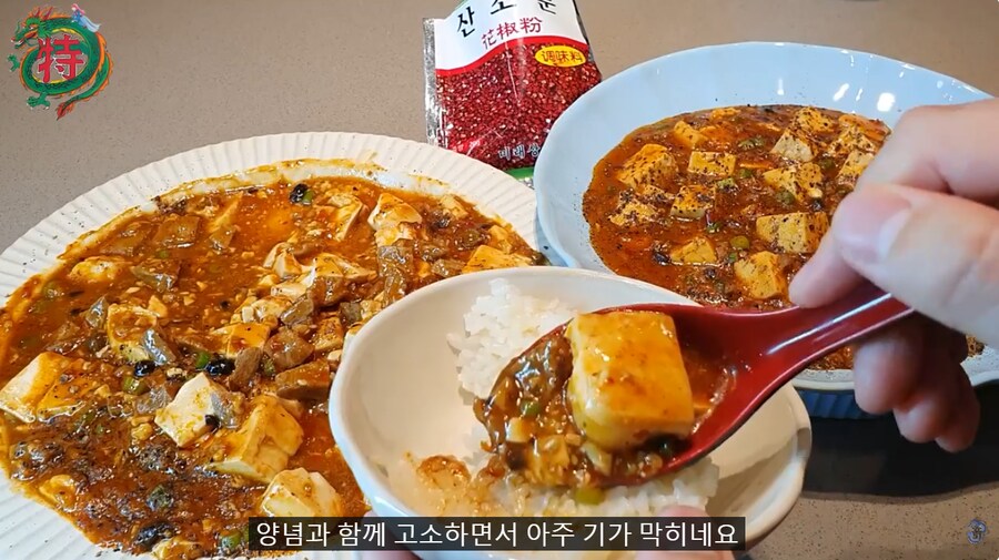 비룡) 콩고기를 쓴 환상의 마파두부_7.png