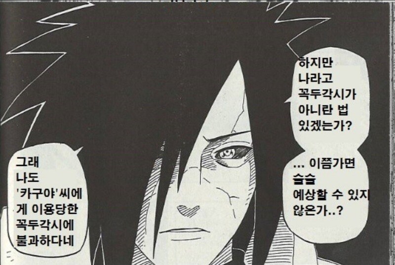 한때 유행했던 나루토 요약 만화_7.jpg