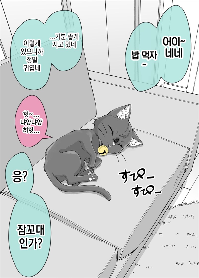 사랑이 무거운 고양이 네네_9.png