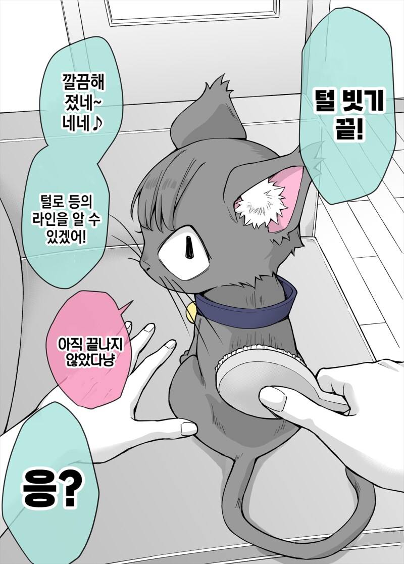 사랑이 무거운 고양이 네네_11.png