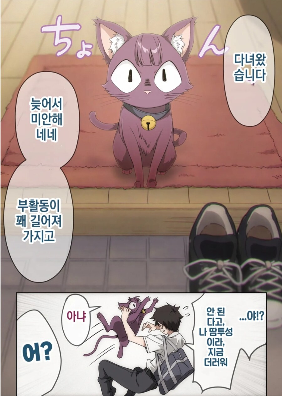 사랑이 무거운 고양이 네네_2.jpg