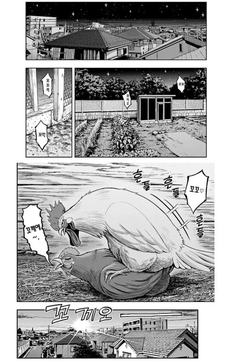닭이 ㅅㅅ하는 manhwa_2.webp