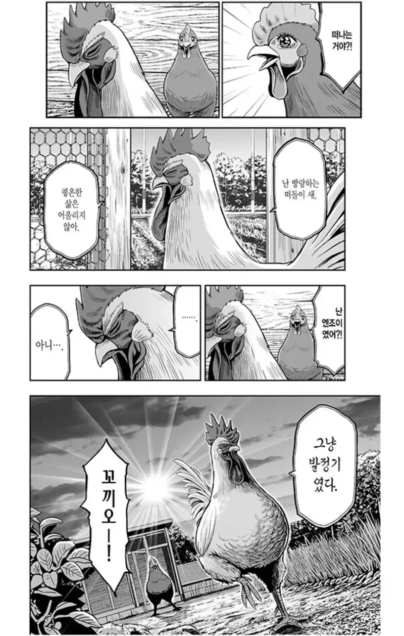 닭이 ㅅㅅ하는 manhwa_4.webp