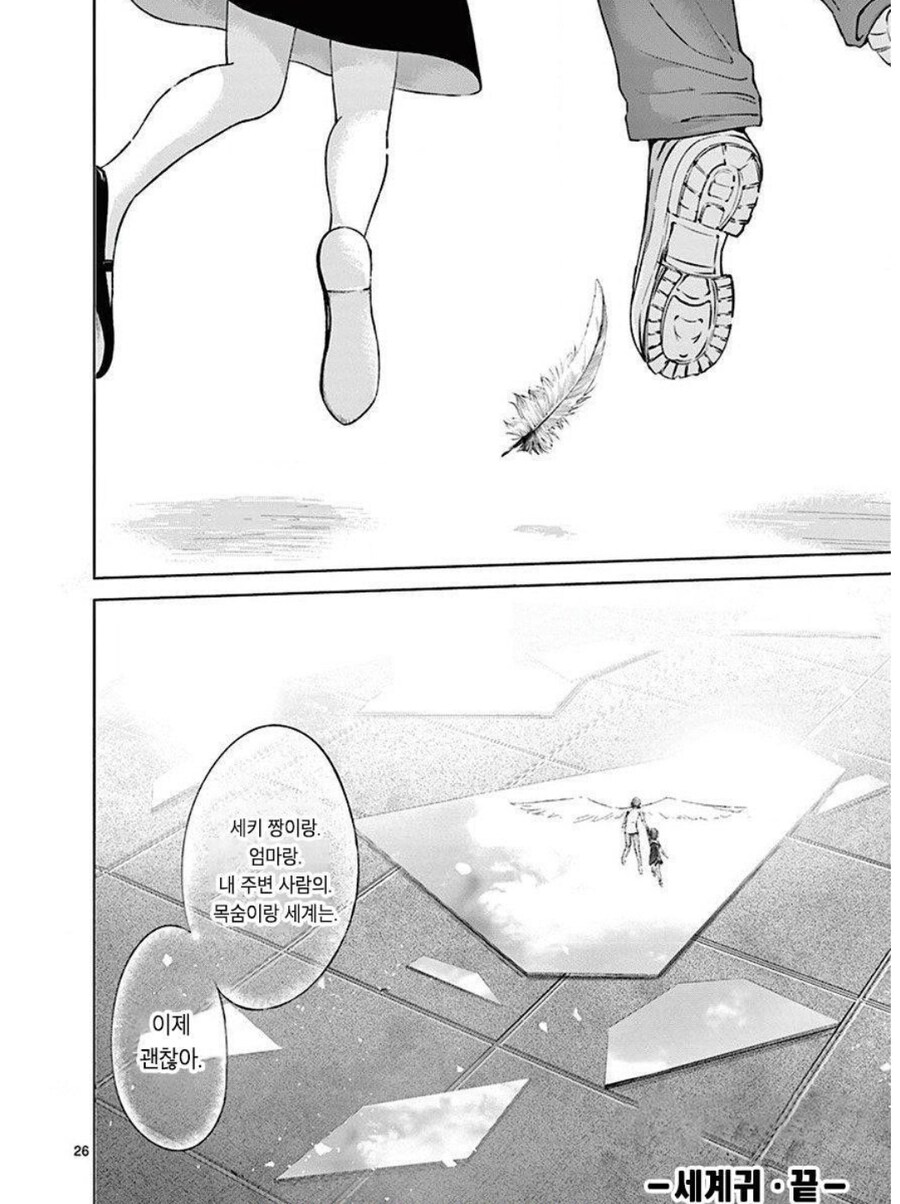 세계를 구하기 위해서 다른 세계를 멸망시킬 수 있겠어?.manhwa_20.jpg