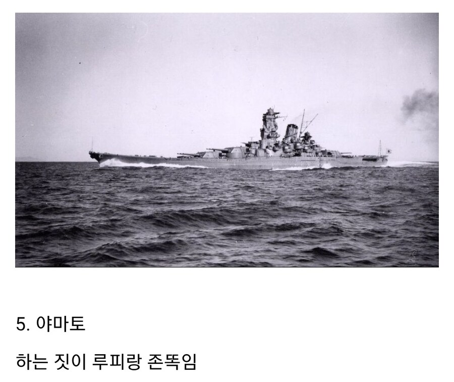 원피스 루피의 아내 후보들_5.jpg