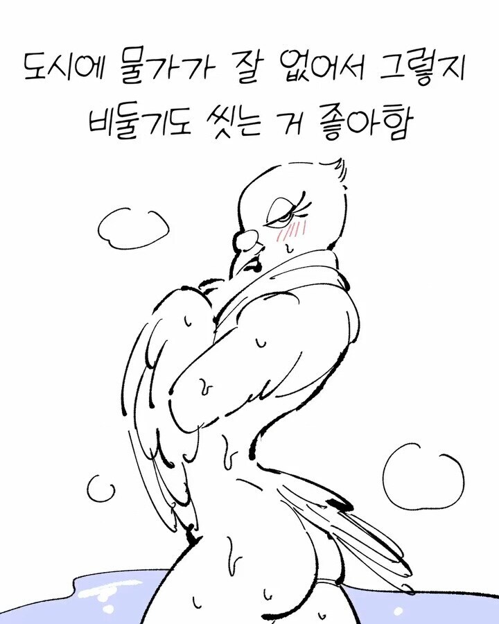비둘기가 귀여운 만화_10.jpg