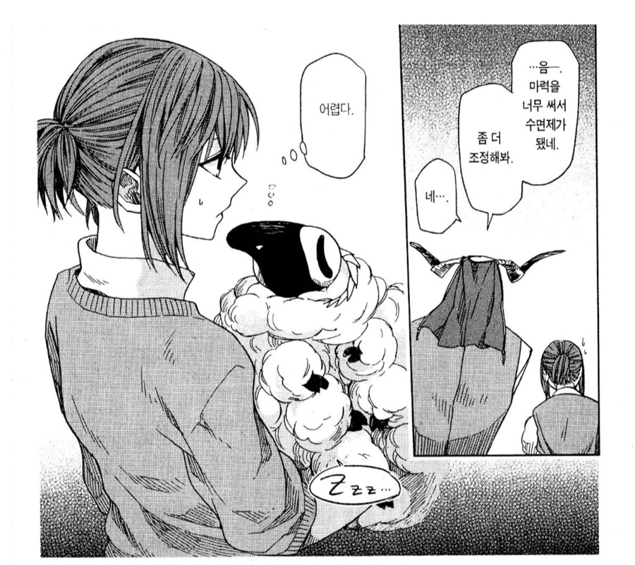 불면증 치료용 수면베개를 만들던 마법사.manhwa_2.png