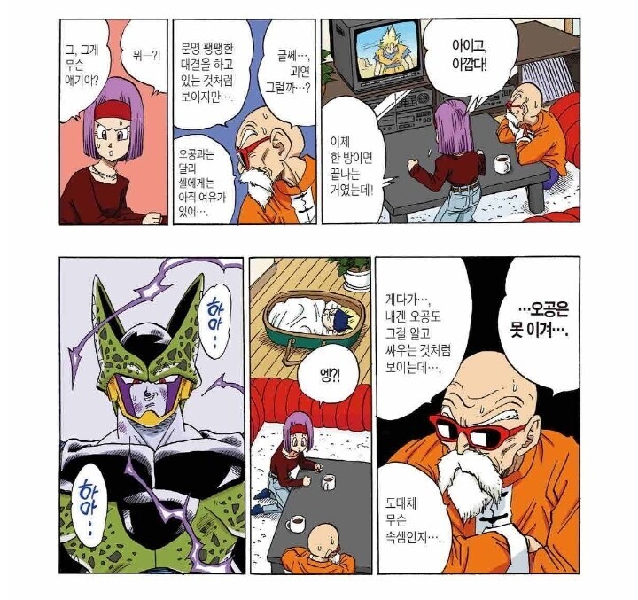 (드래곤볼) 소년만화에서 해설역을 잘하는 비전투원들_1.jpg