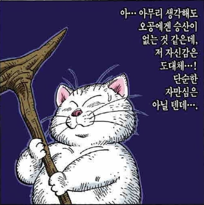 (드래곤볼) 소년만화에서 해설역을 잘하는 비전투원들_2.jpg