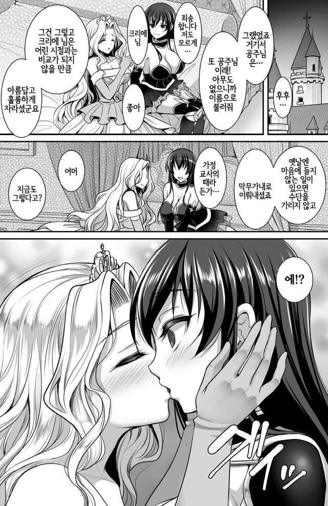 공주를 지키는 여기사 만화_3.jpg