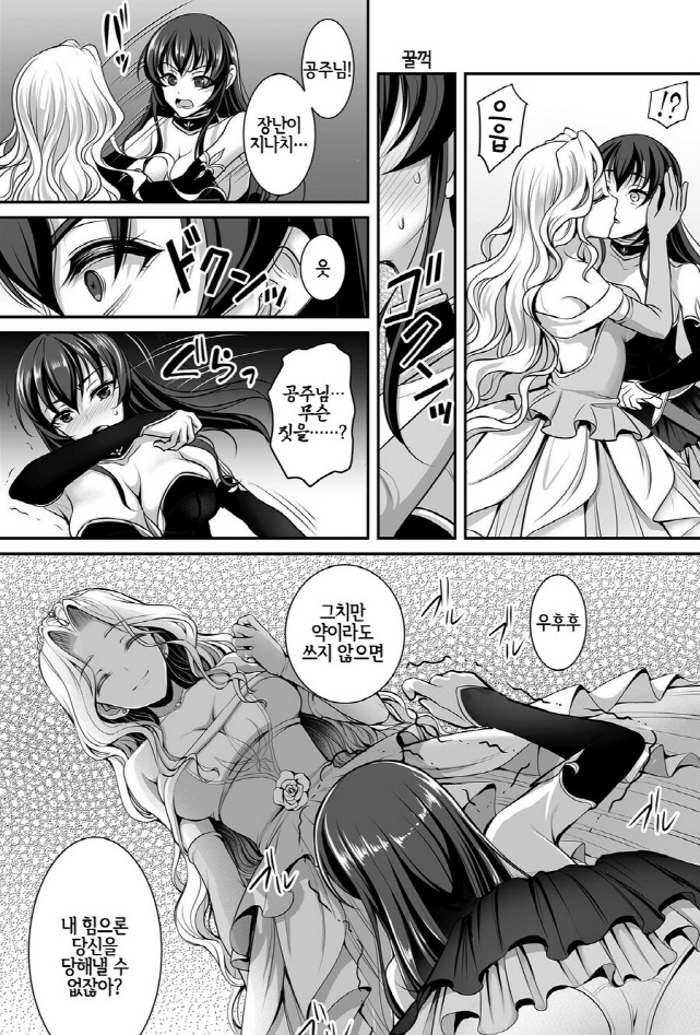 공주를 지키는 여기사 만화_4.jpg