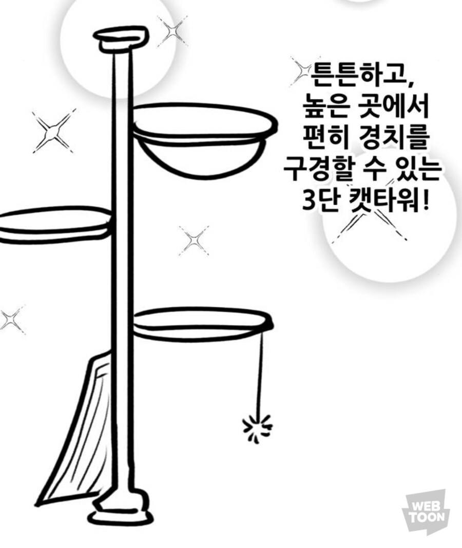 고양이의 행복을 위한 집사의 선택!!!_4.jpg