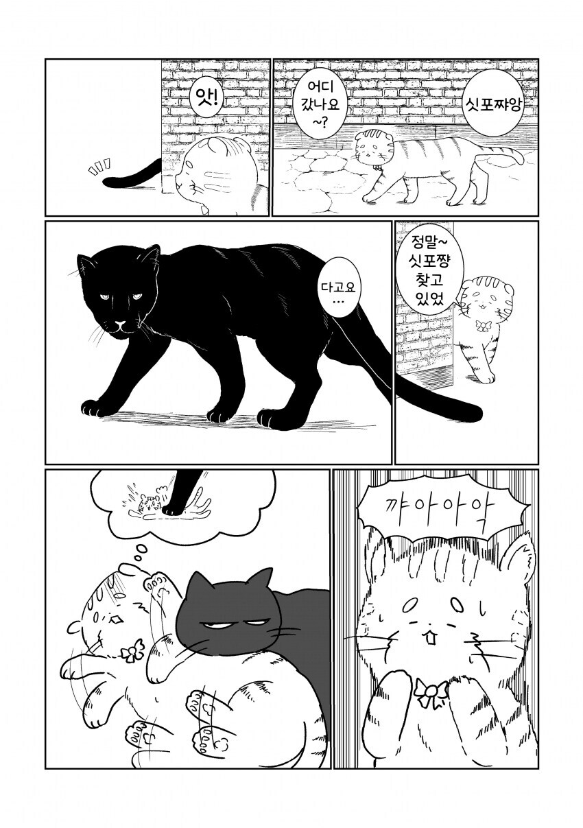 귀여운 고양이_1.jpg