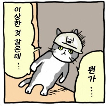 울트라맨) 각본이 꿈과 희망을 말하는 과정_11.jpg