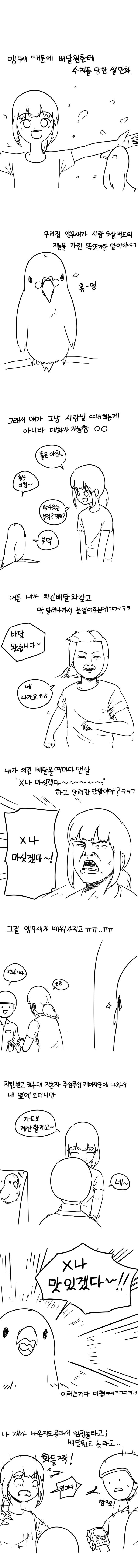 창피한 앵무새.manhwa_1.jpg