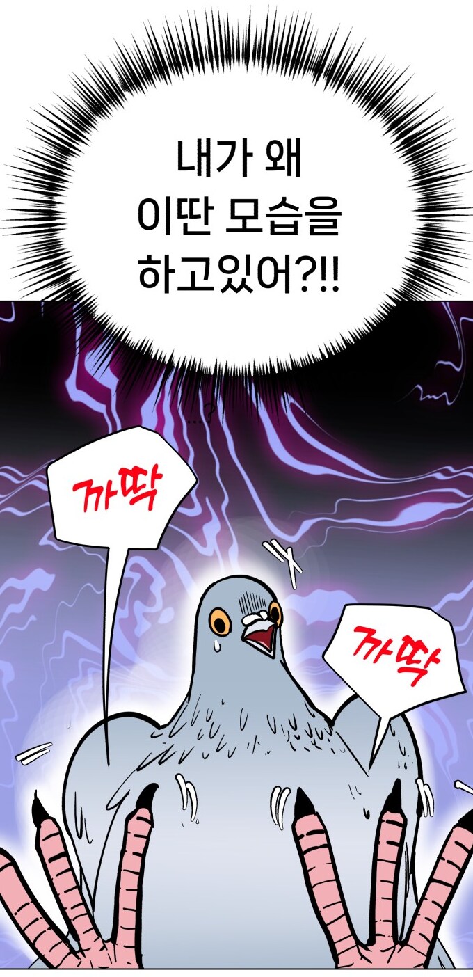 사고 났더니 비둘기에 빙의하는 만화_2.png