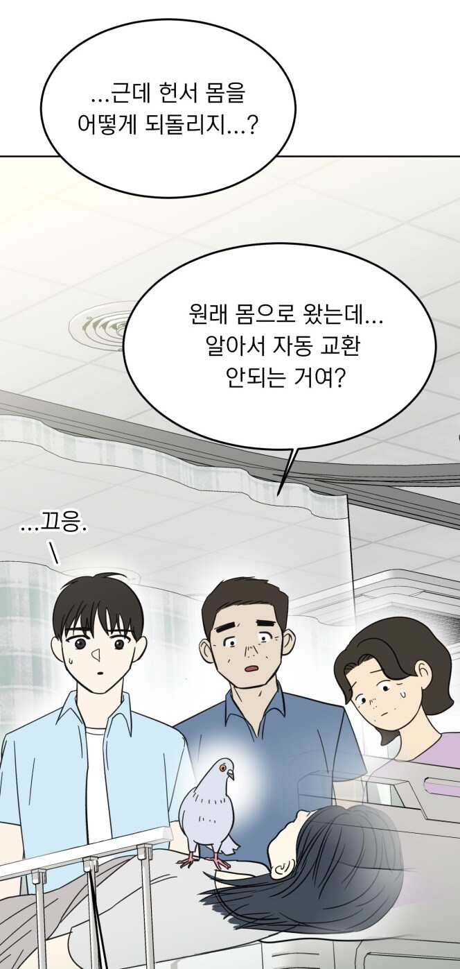 사고 났더니 비둘기에 빙의하는 만화_5.png