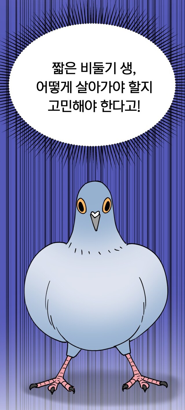 사고 났더니 비둘기에 빙의하는 만화_7.png