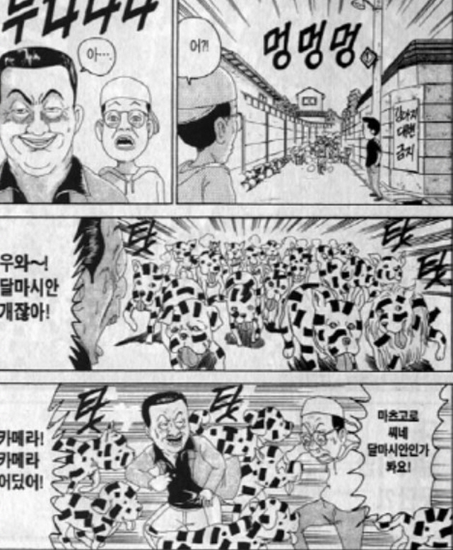 [괴짜가족]달마시안 군단이 나타났다_5.jpg