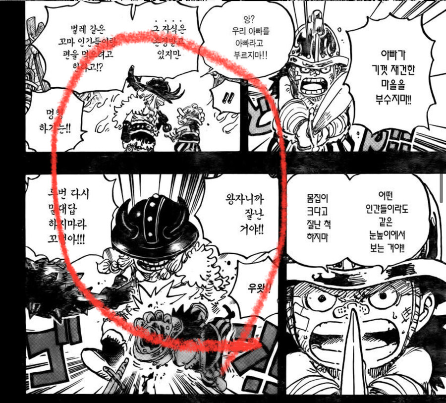 [원피스] 원피스에서 모계 혈통도 꽤나 중요하다는 걸 보여주는 대표적인 장면_3.jpg