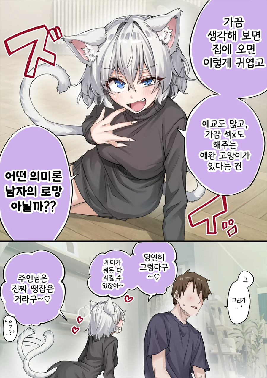 고양이 키우는 사람들 특징.manhwa_1.webp