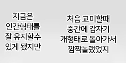 사랑하는 사람과의 첫 교미.manhwa_1.jpg