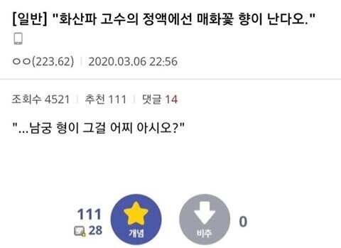 원피스) 갑자기 생각난 드래곤 관련 가설_2.png