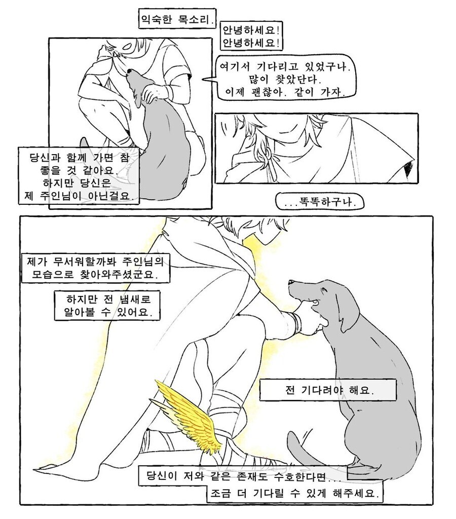 신화속 20년 넘게 주인을 기다린 충견_2.jpg