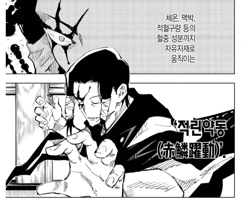 주술회전) 카모가가 3대 가문 중 하나인 이유_1.jpg