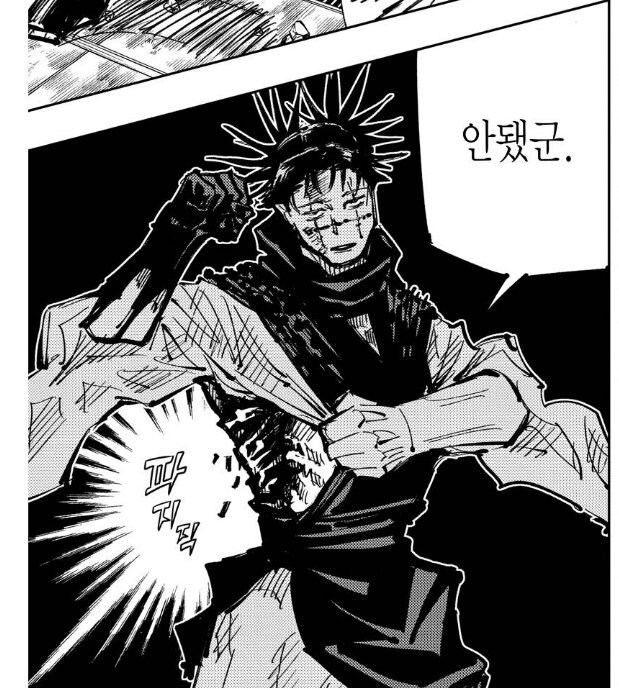 주술회전) 카모가가 3대 가문 중 하나인 이유_3.jpg