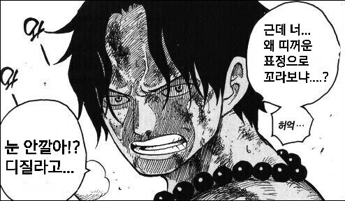 원피스) 아카이누 : 미안하군..._9.jpg