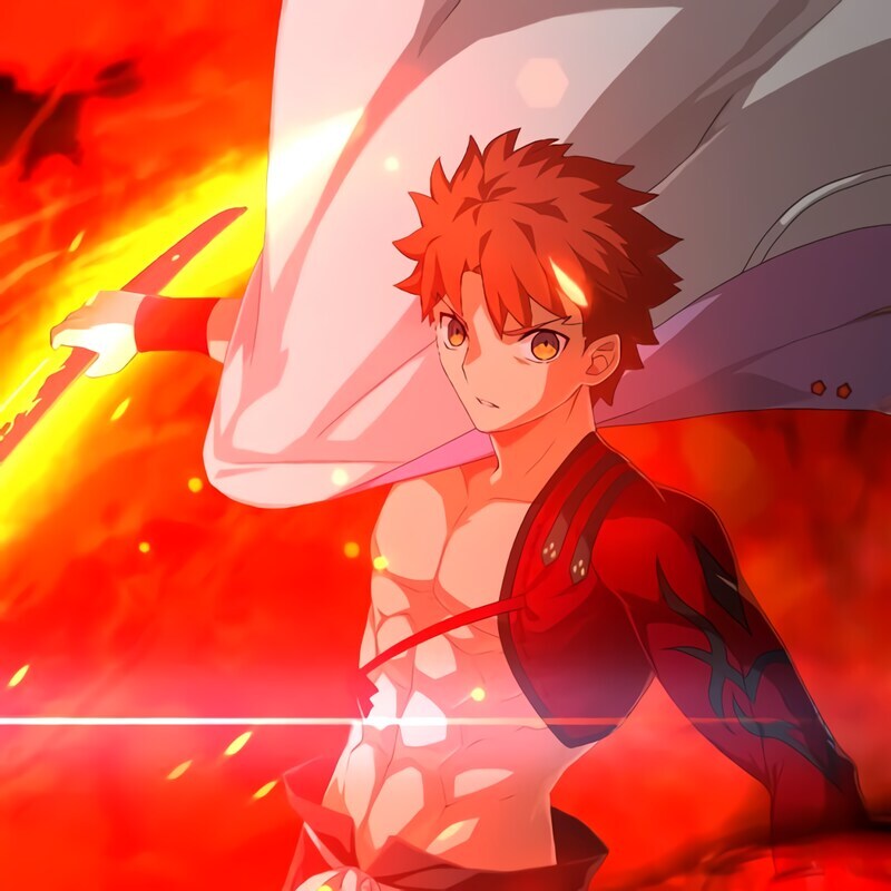 Fate) 시로 바리에이션들 특징_1.jpg