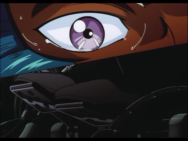 img/5/0/E/A/50EAD8B9374B78000F