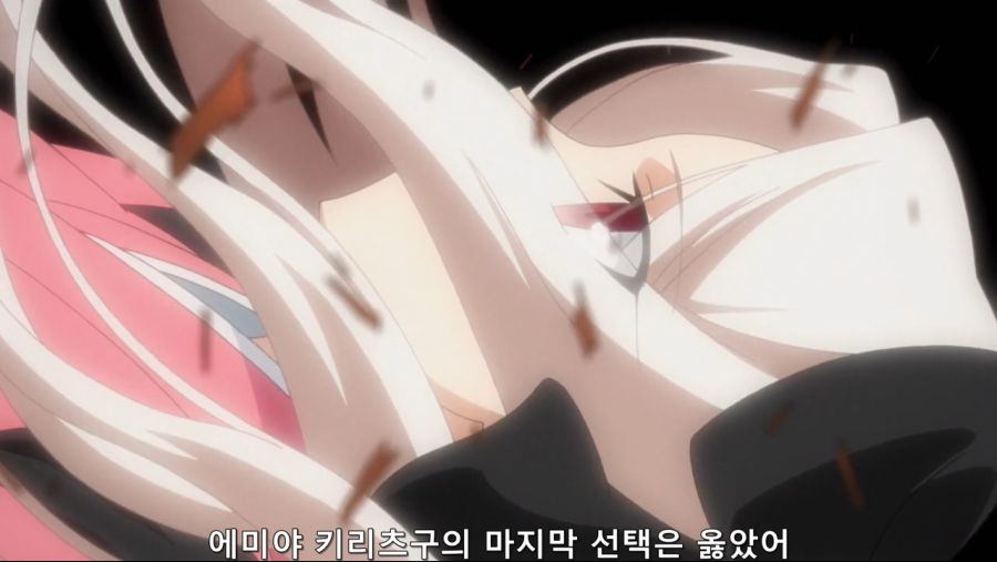 페이트) 아이리스필이 평가한 키리츠구_2.jpg