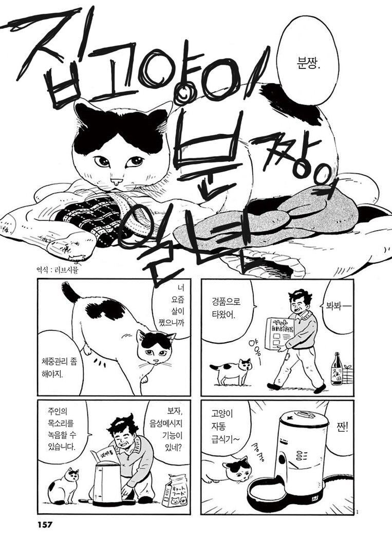 집고양이 분짱의 일년.manga_1.jpg