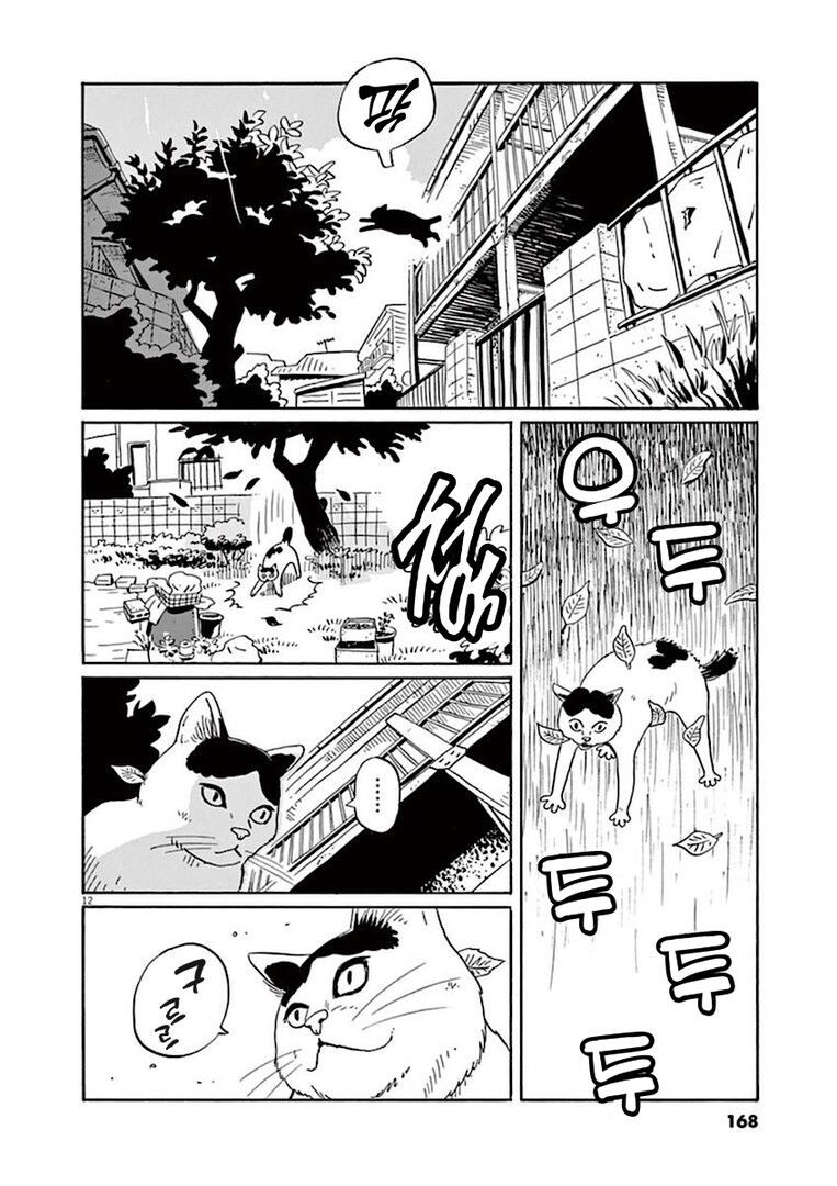 집고양이 분짱의 일년.manga_12.jpg