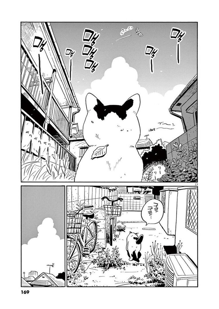 집고양이 분짱의 일년.manga_13.jpg