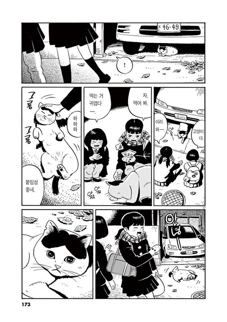 집고양이 분짱의 일년.manga_17.jpg