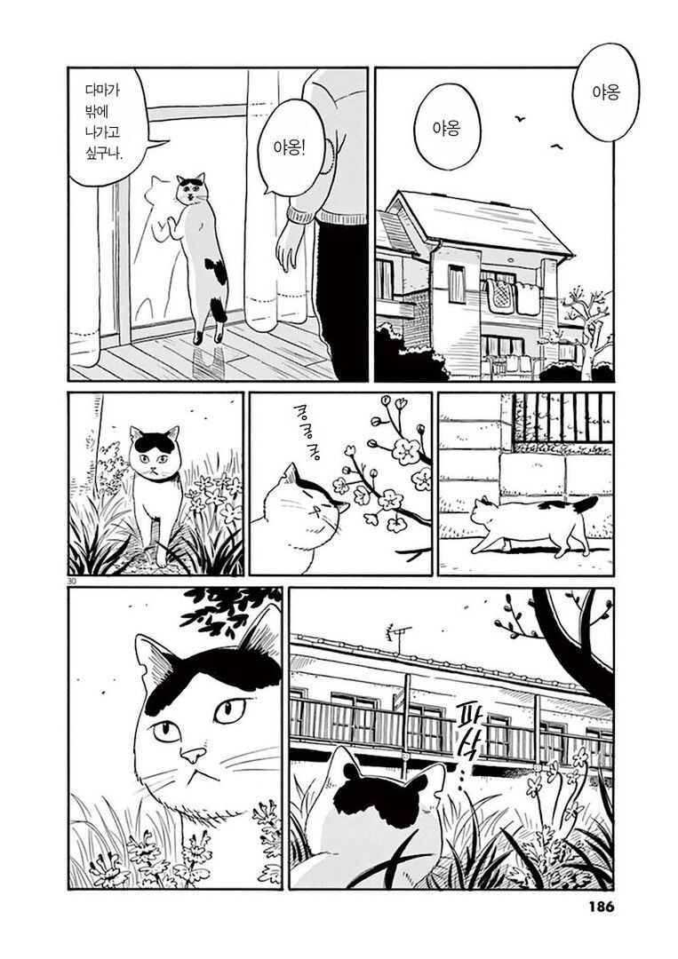 집고양이 분짱의 일년.manga_30.jpg