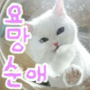 선배 취향이 궁금한 여후배 Manhwa_5.png