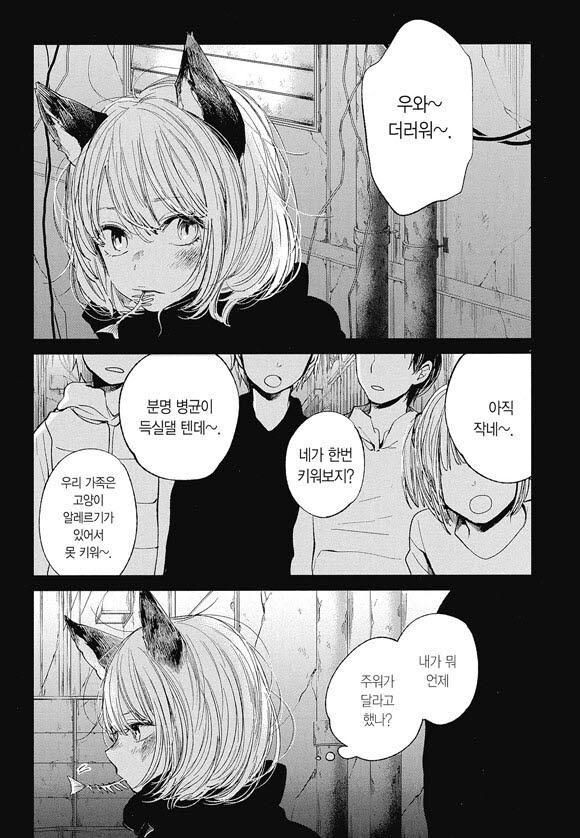 주인에게 주워진 길고양이가 앞으로 남은 삶을 걱정하는 만화.manga_2.jpg