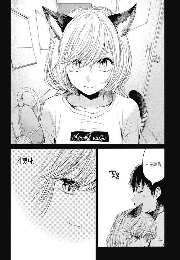 주인에게 주워진 길고양이가 앞으로 남은 삶을 걱정하는 만화.manga_6.jpg
