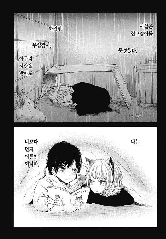 주인에게 주워진 길고양이가 앞으로 남은 삶을 걱정하는 만화.manga_7.jpg