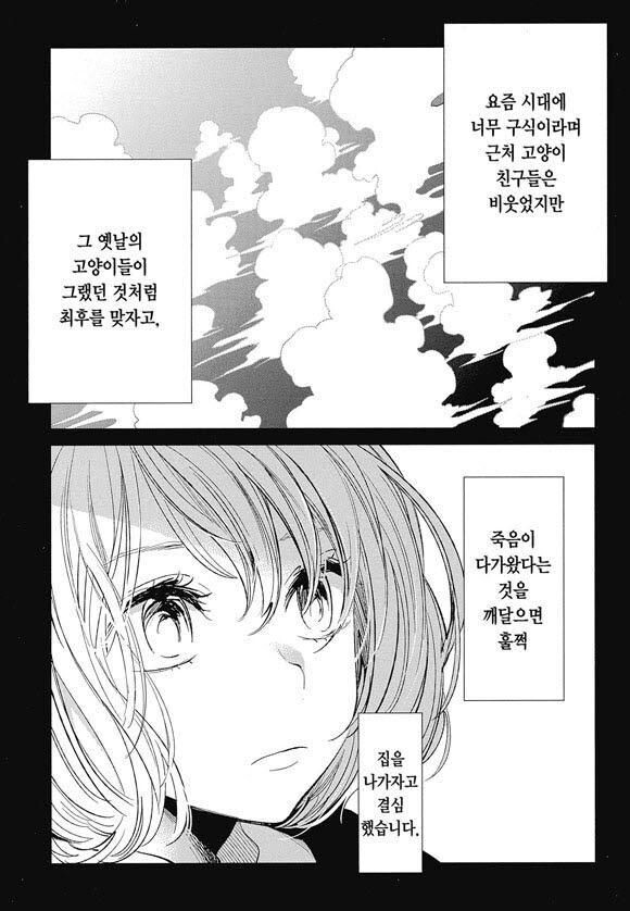 주인에게 주워진 길고양이가 앞으로 남은 삶을 걱정하는 만화.manga_11.jpg