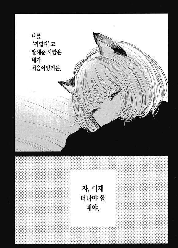주인에게 주워진 길고양이가 앞으로 남은 삶을 걱정하는 만화.manga_13.jpg