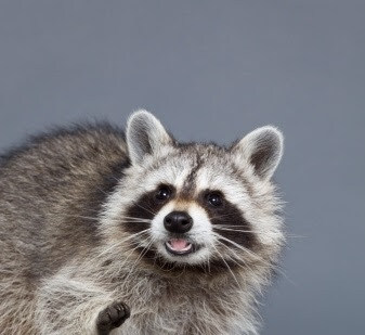 수인특구 아파트에서 지내는.manhwa_9.jpg