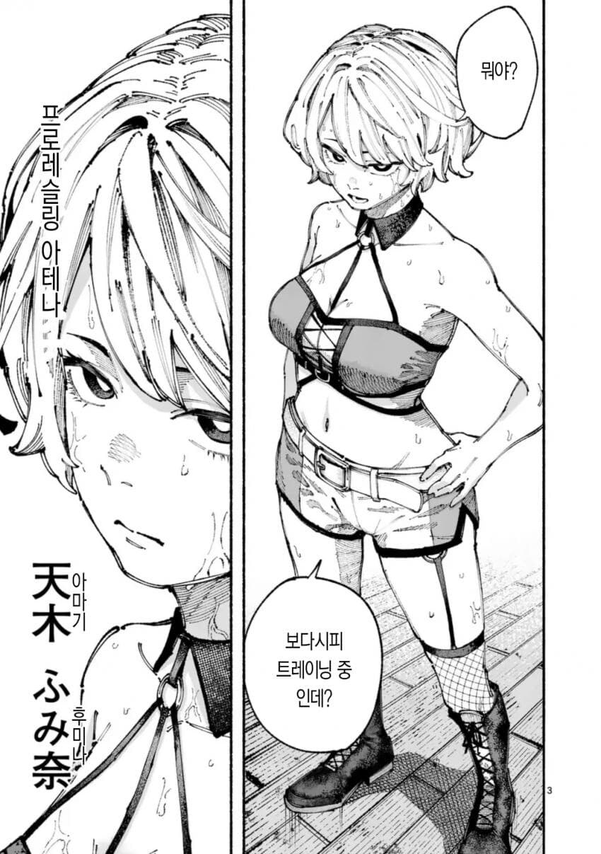 프로레슬러 VS 종합격투가 여자애가 싸우는 .manwha_3.jpg