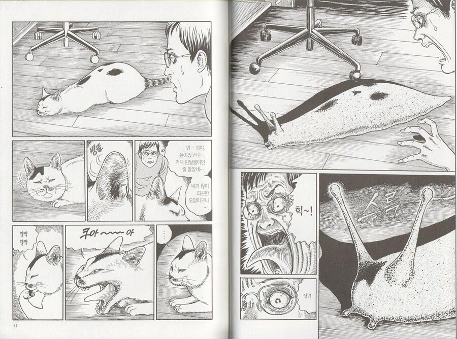 고양이를 공포스럽게 표현한 호러만화_1.jpg
